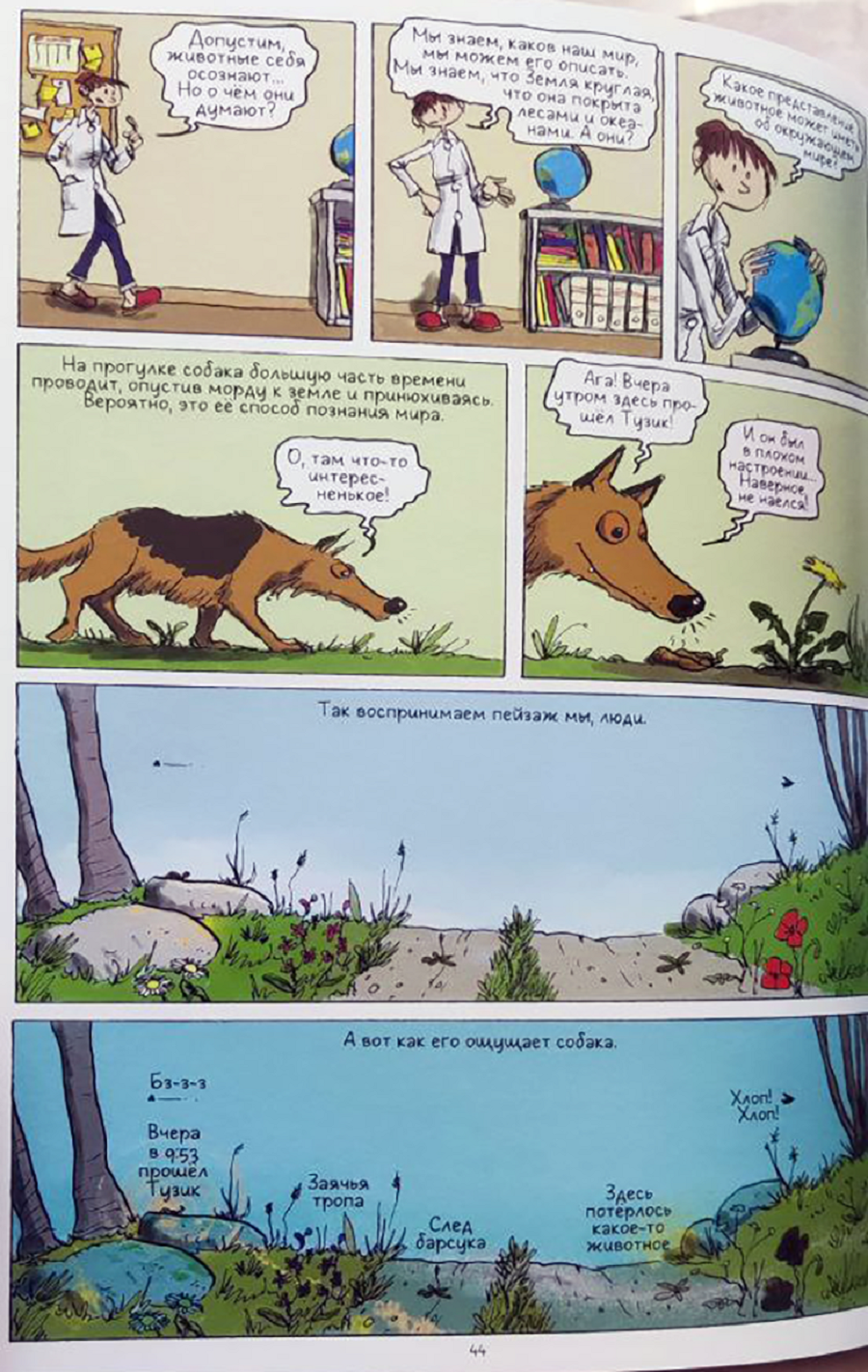 Иллюстрация из книги