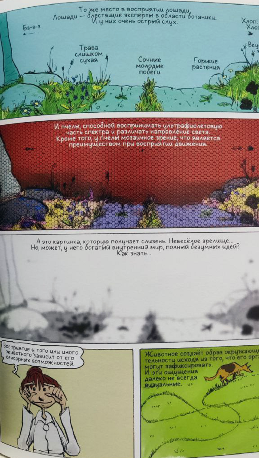 Иллюстрация из книги