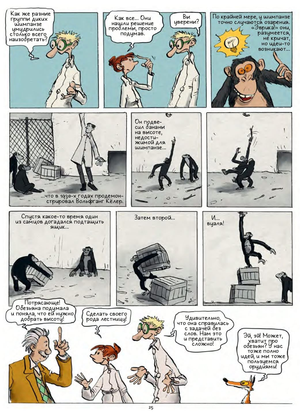 Иллюстрация из книги