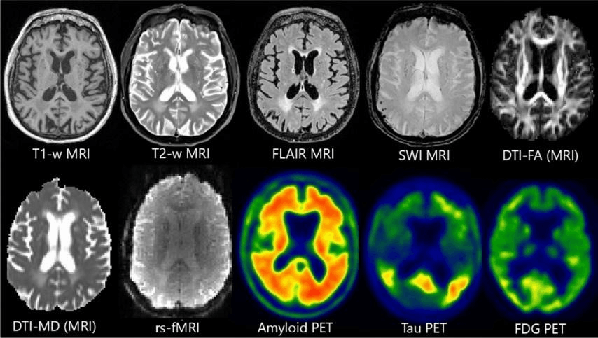 Примеры медицинских изображений
