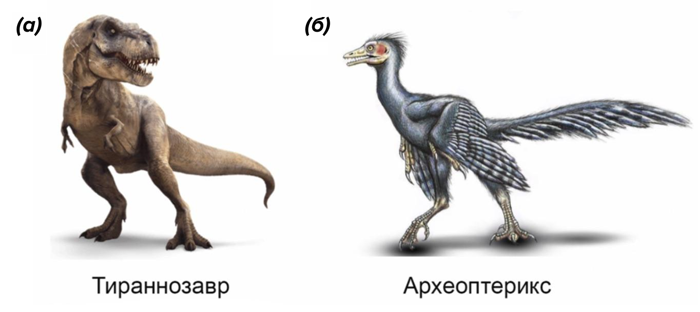 Эволюционное происхождение птиц от тероподовых динозавров
