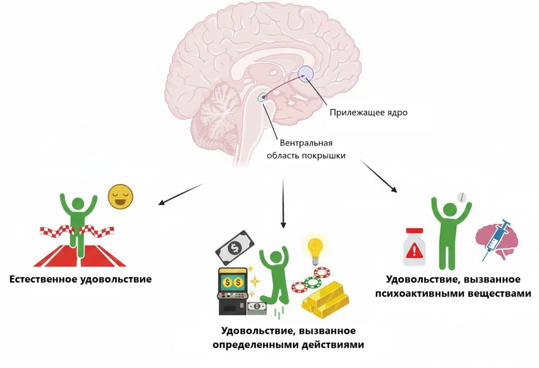 Система вознаграждения в общем виде