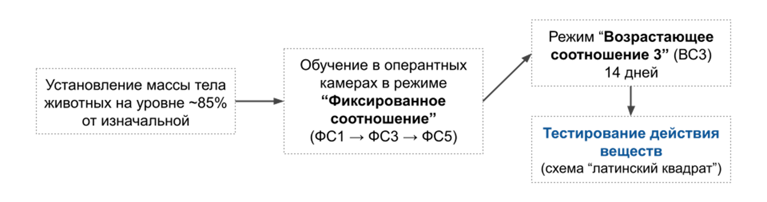 Общая схема экспериментов