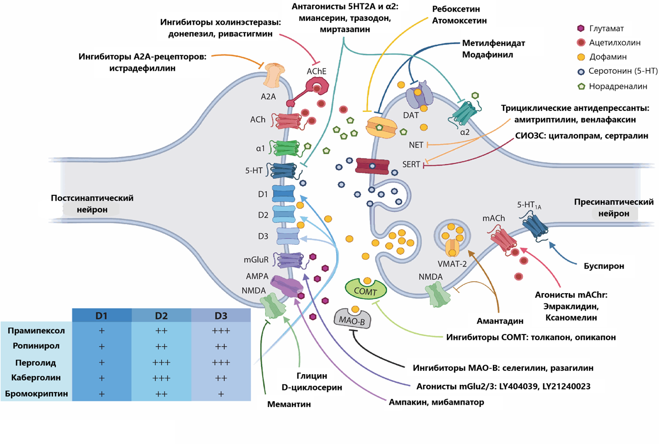 Препараты-кандидаты для лечения нарушений мотивации и мишени их действия