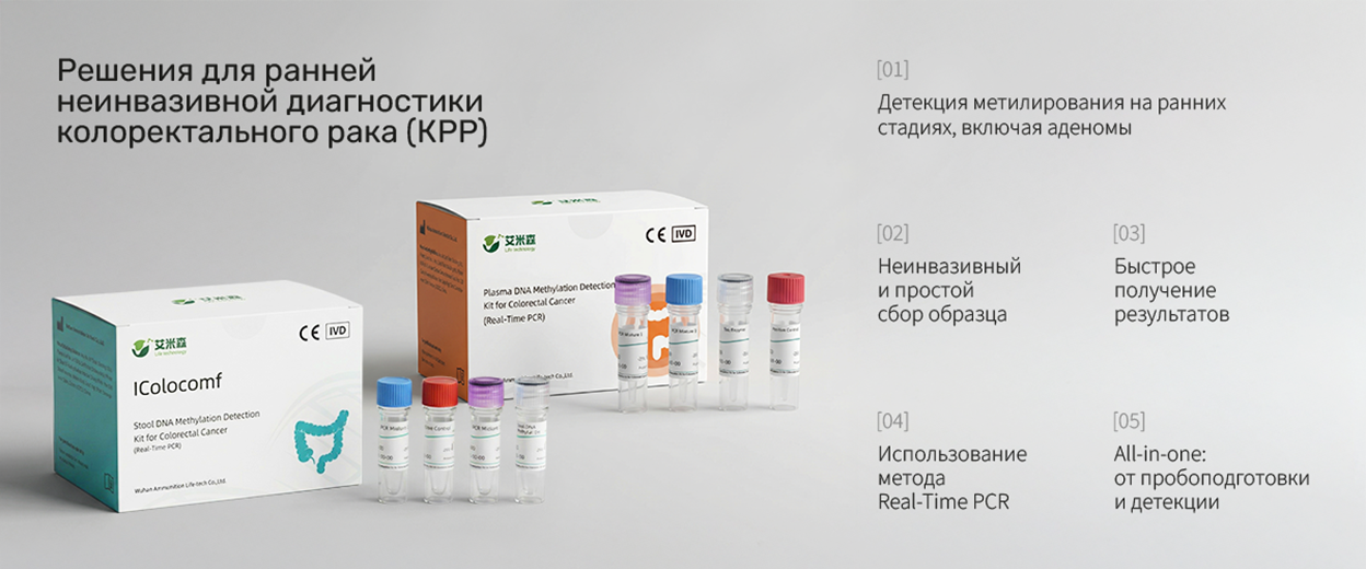 Клеточный цикл и фаза действия некоторых онкогенов и онкосупрессоров