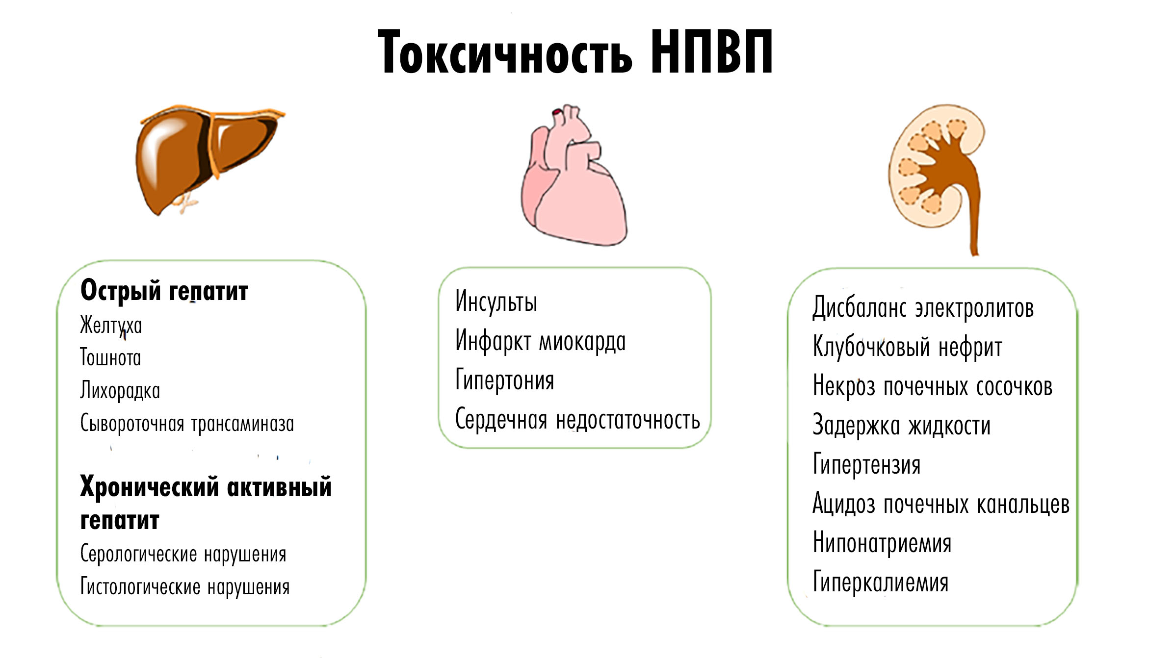 Даже привычные НПВП могут влиять на разные органы: вызывать нарушения в работе печени, сердца и почек