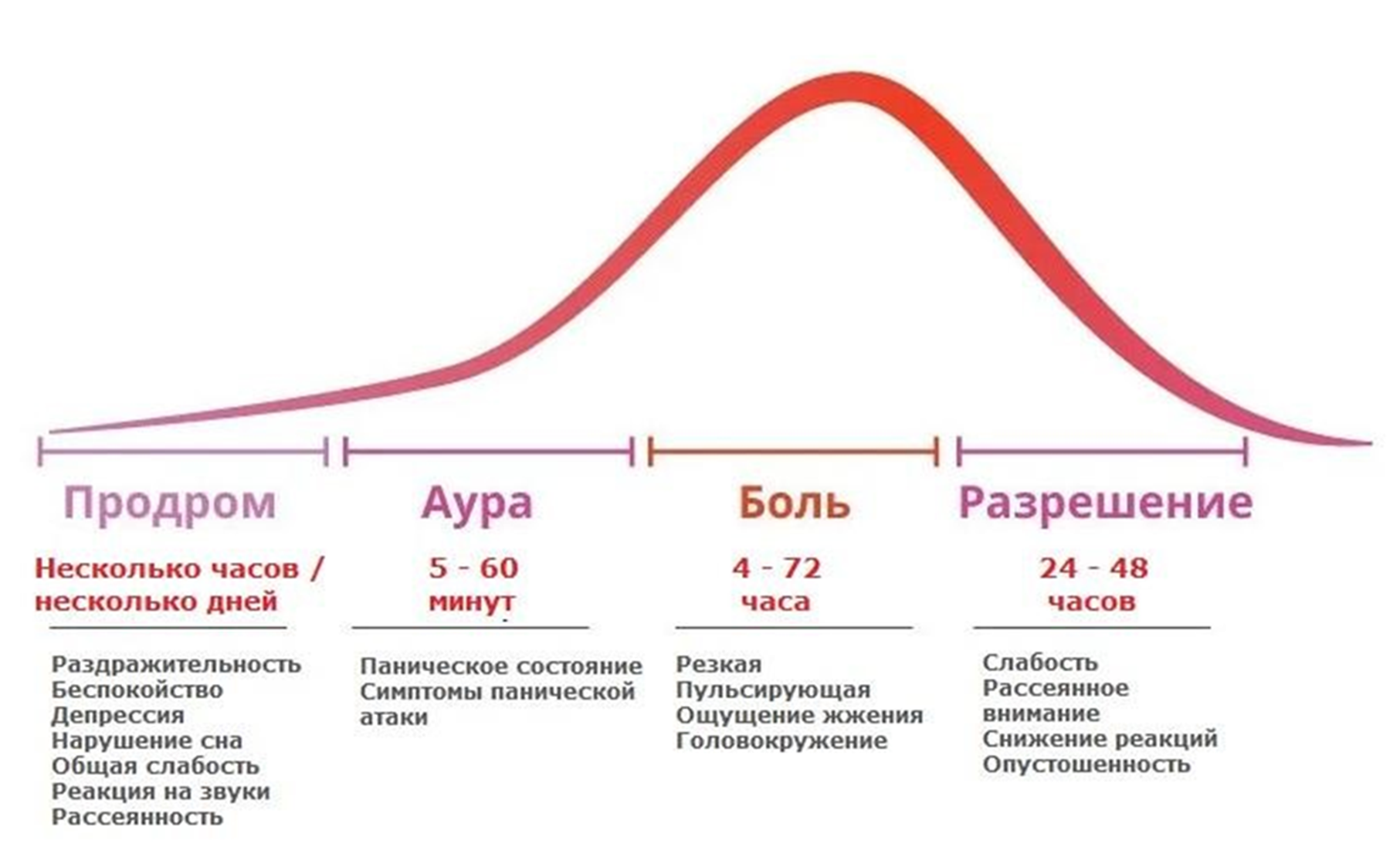 Полный цикл мигрени: четыре стадии нейрологического шторма