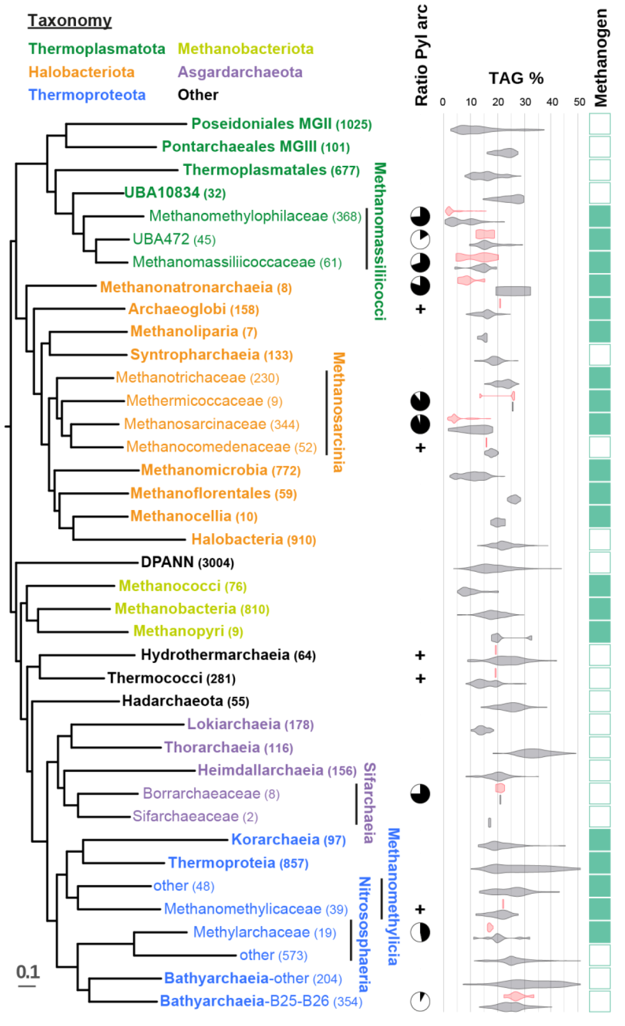 Распространение пирролизиновой машинерии среди архей
