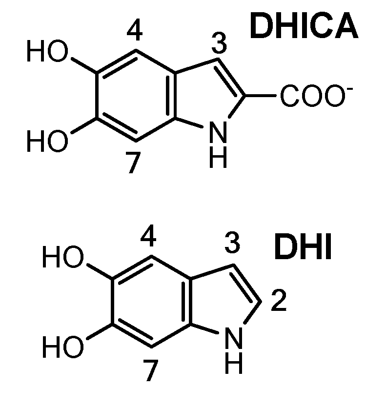 Нумерация атомов углерода
