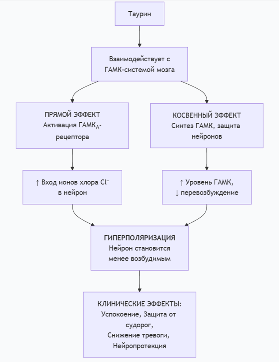 Схема влияния таурина на ГАМК-систему с последующими клиническими эффектами