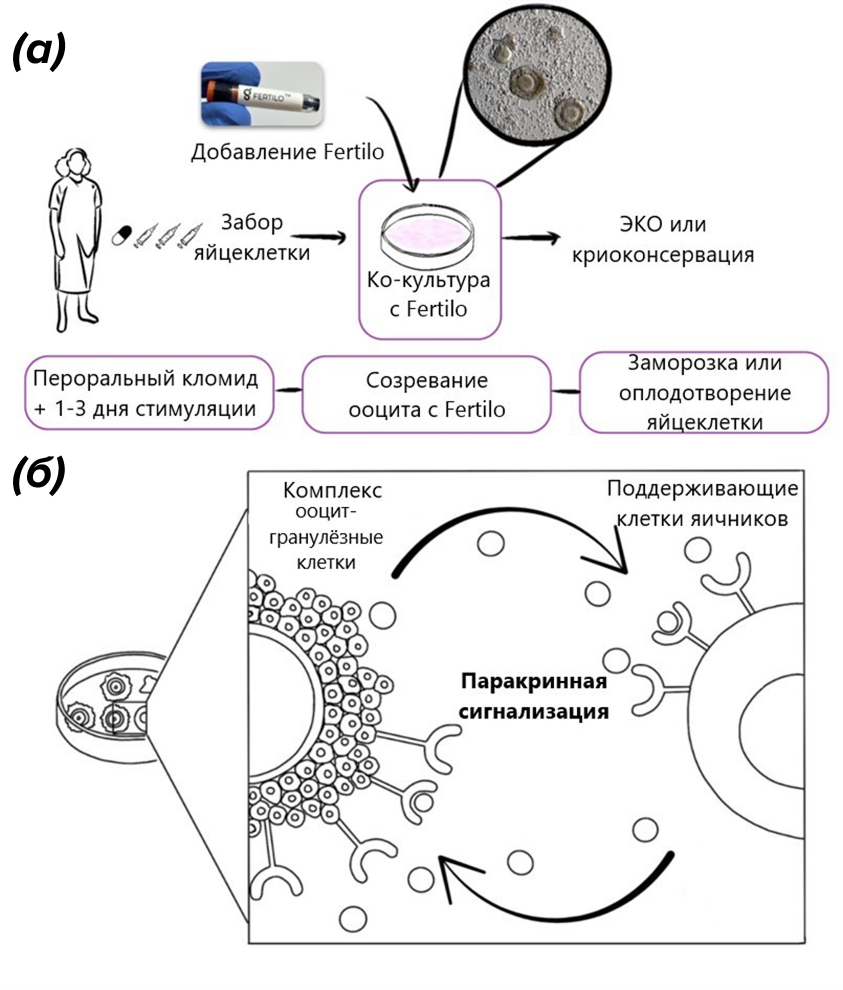 протокол, который предлагает компания