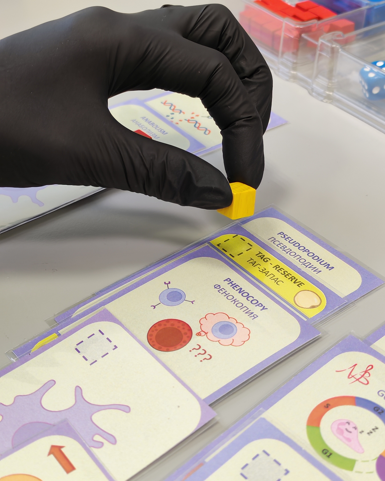 Научно-популярная настольная игра «Иммунный ответ»