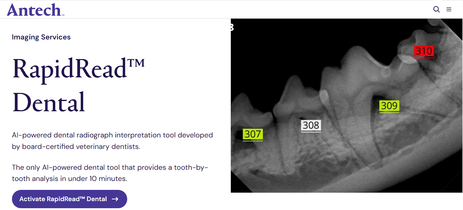 Главная страница официального сайта RapidRead Dental