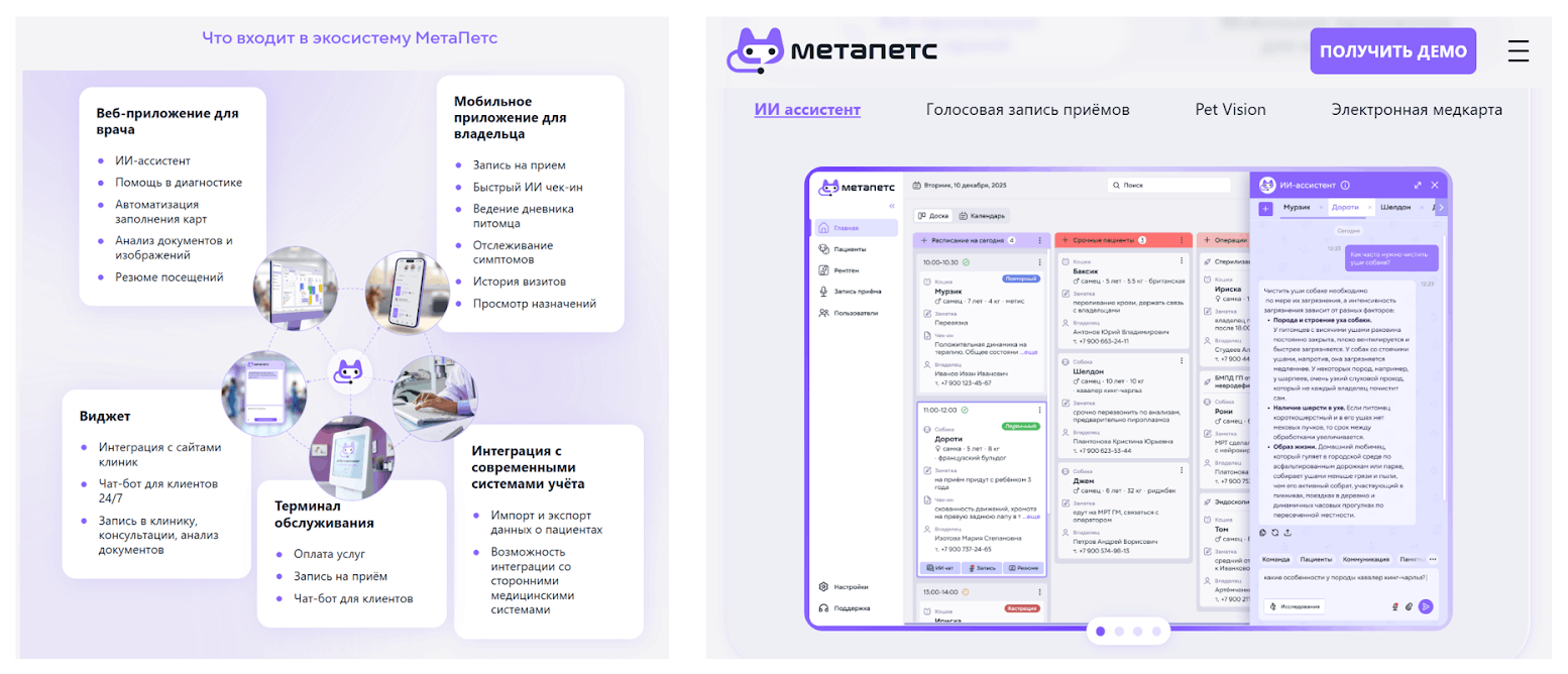 Информация с официального сайта MetaPets