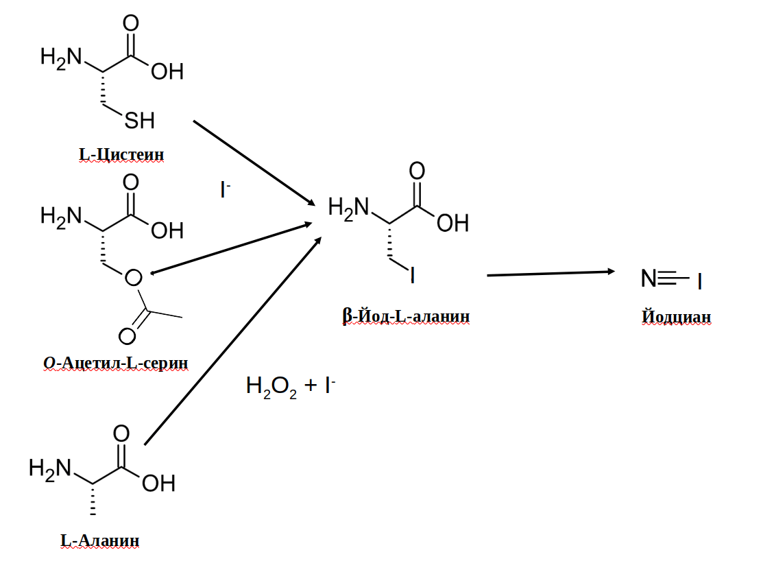 Замечательное качество биохимии