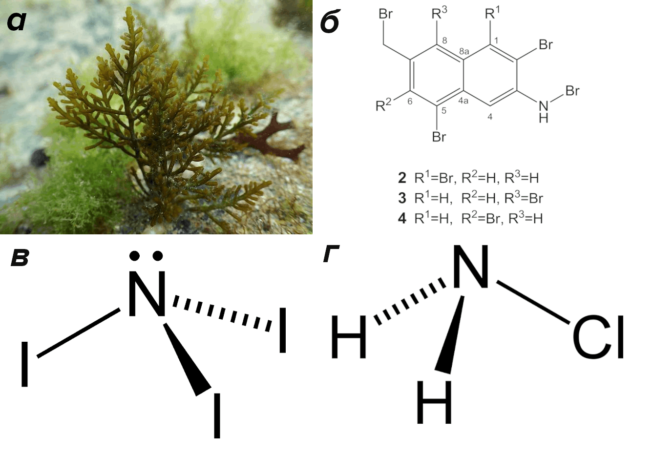 Природные галогенорганические вещества в целом являются редкостью