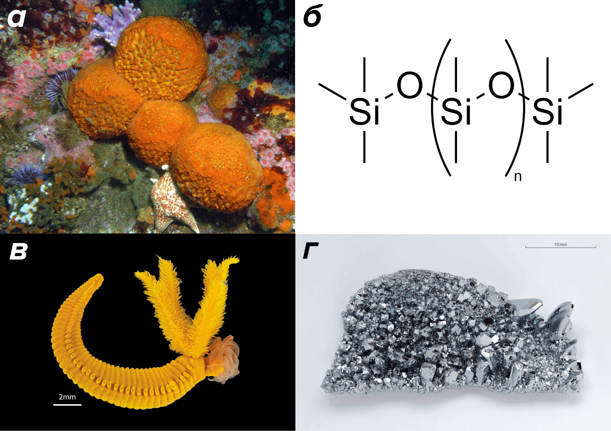 Возможности биотехнологии намного больше, чем было принято думать до недавнего времени.