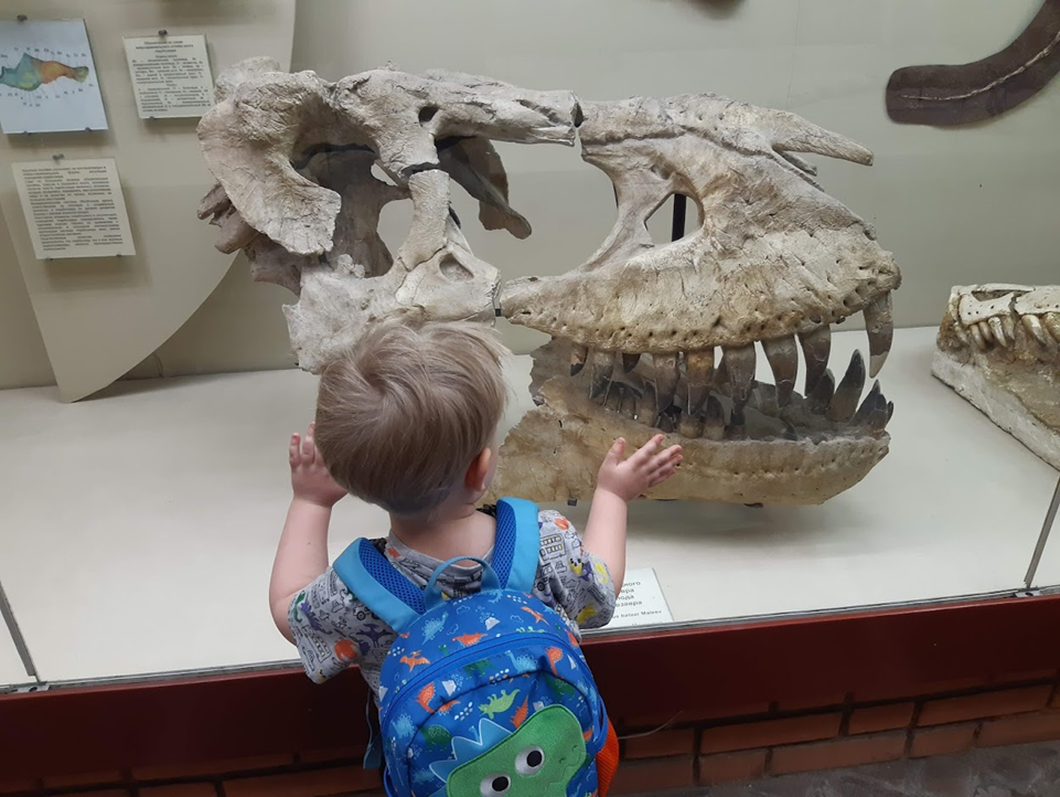 Череп хищного динозавра тарбозавра