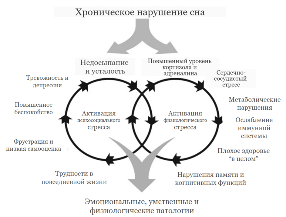 Влияние хронического нарушения сна и сокращения его продолжительности на усиление и взаимодействие физиологического стресса