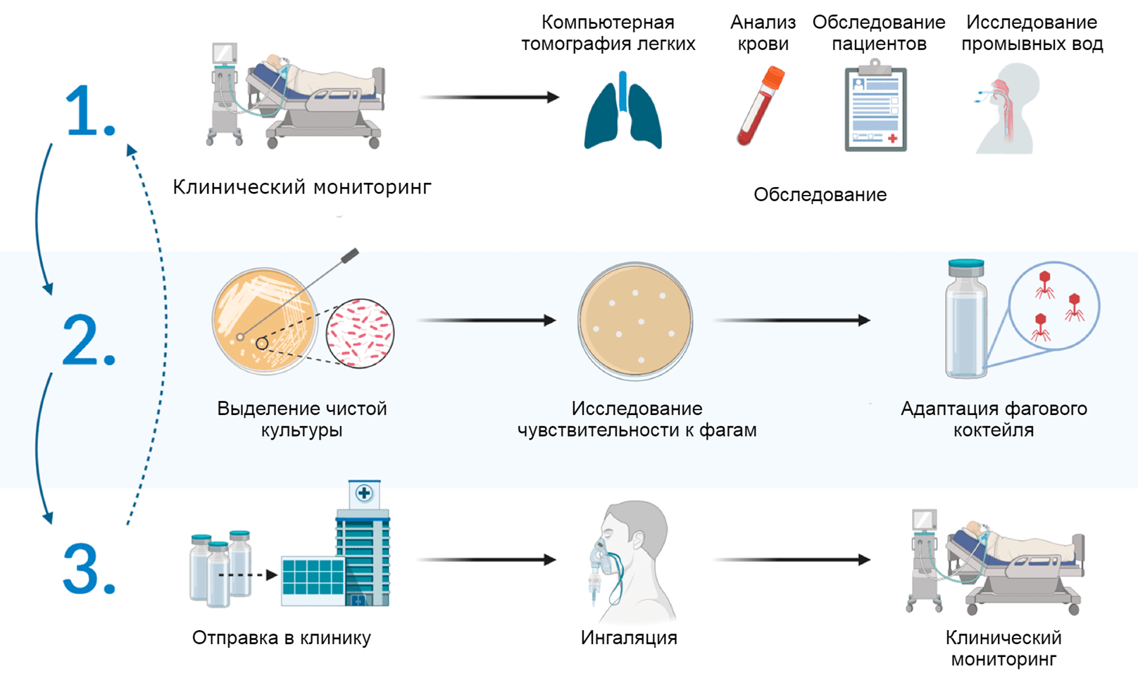 Протокол адаптивной фаготерапии для пациентов отделения интенсивной терапии