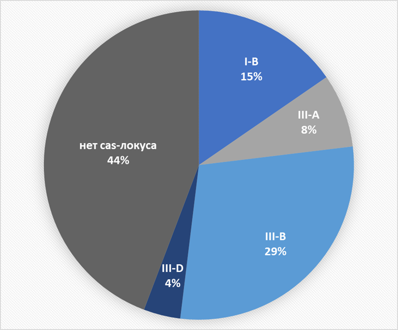 Варианты CRISPR-Cas систем в хромосоме Cl. Botulinum