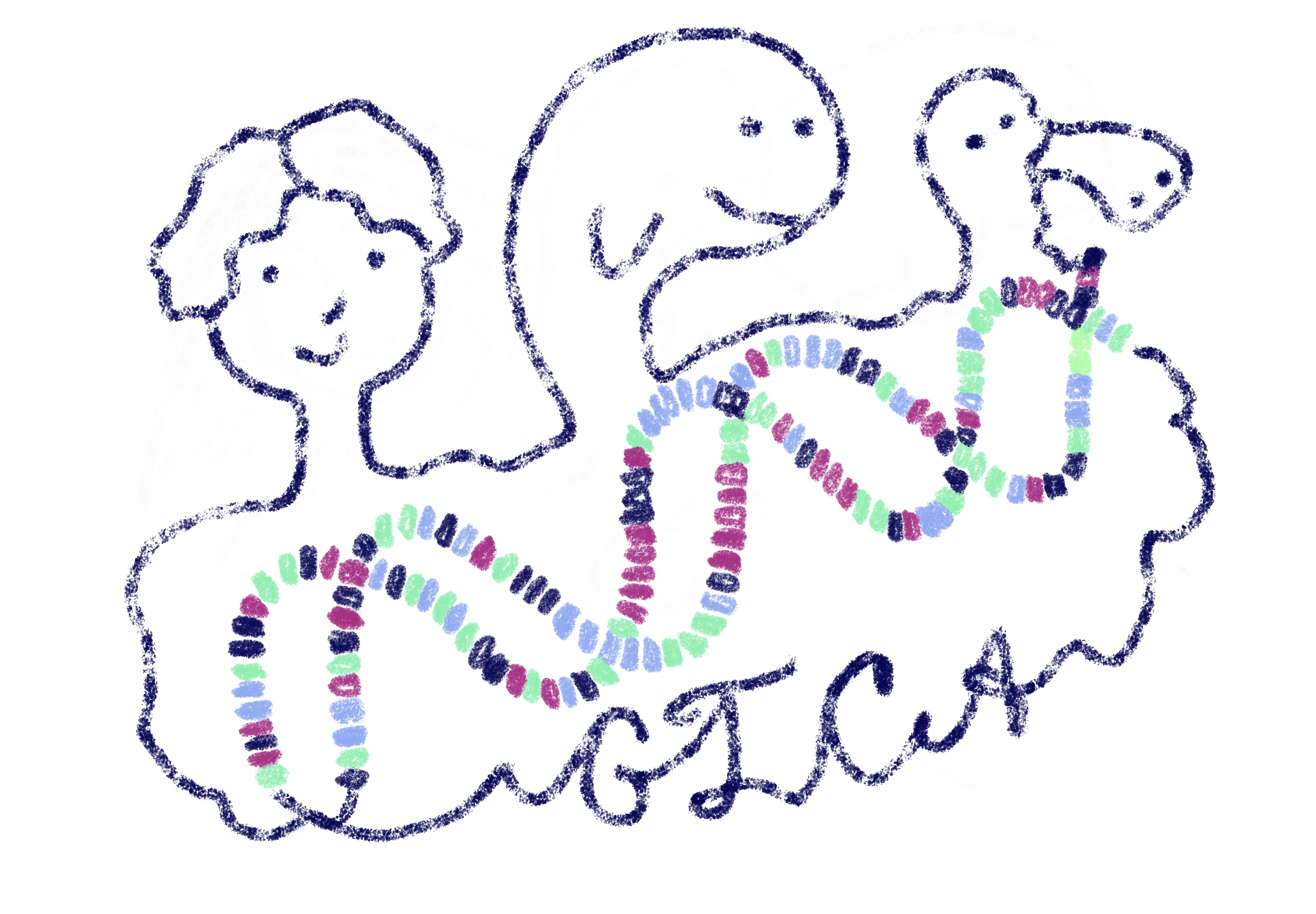 Генетический код объединяет разных живых существ