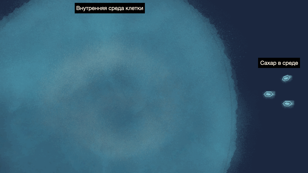 Общая схема связи между генами и белками