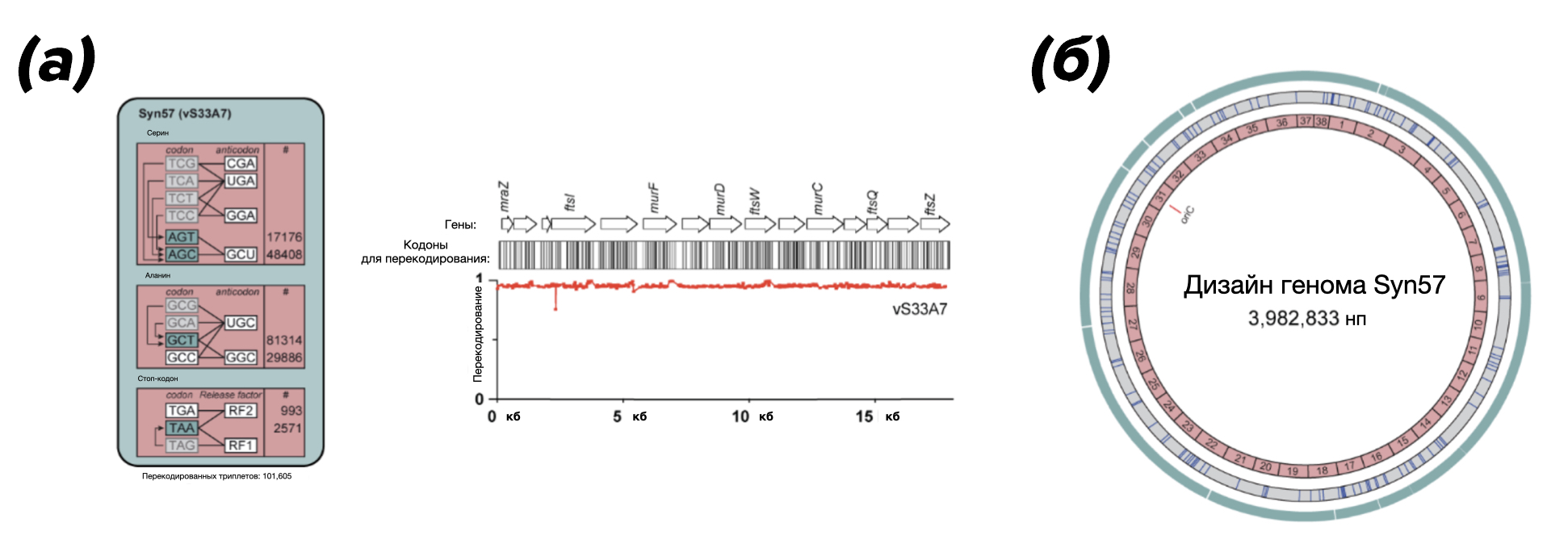 Дизайн исследования