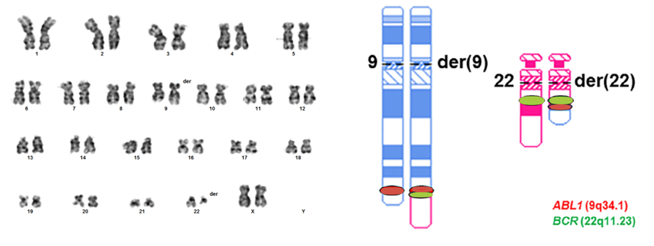 Бабочка Сова