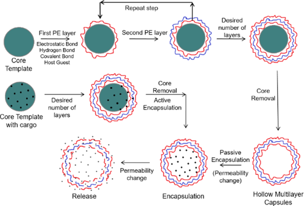 Иллюстрация из книги