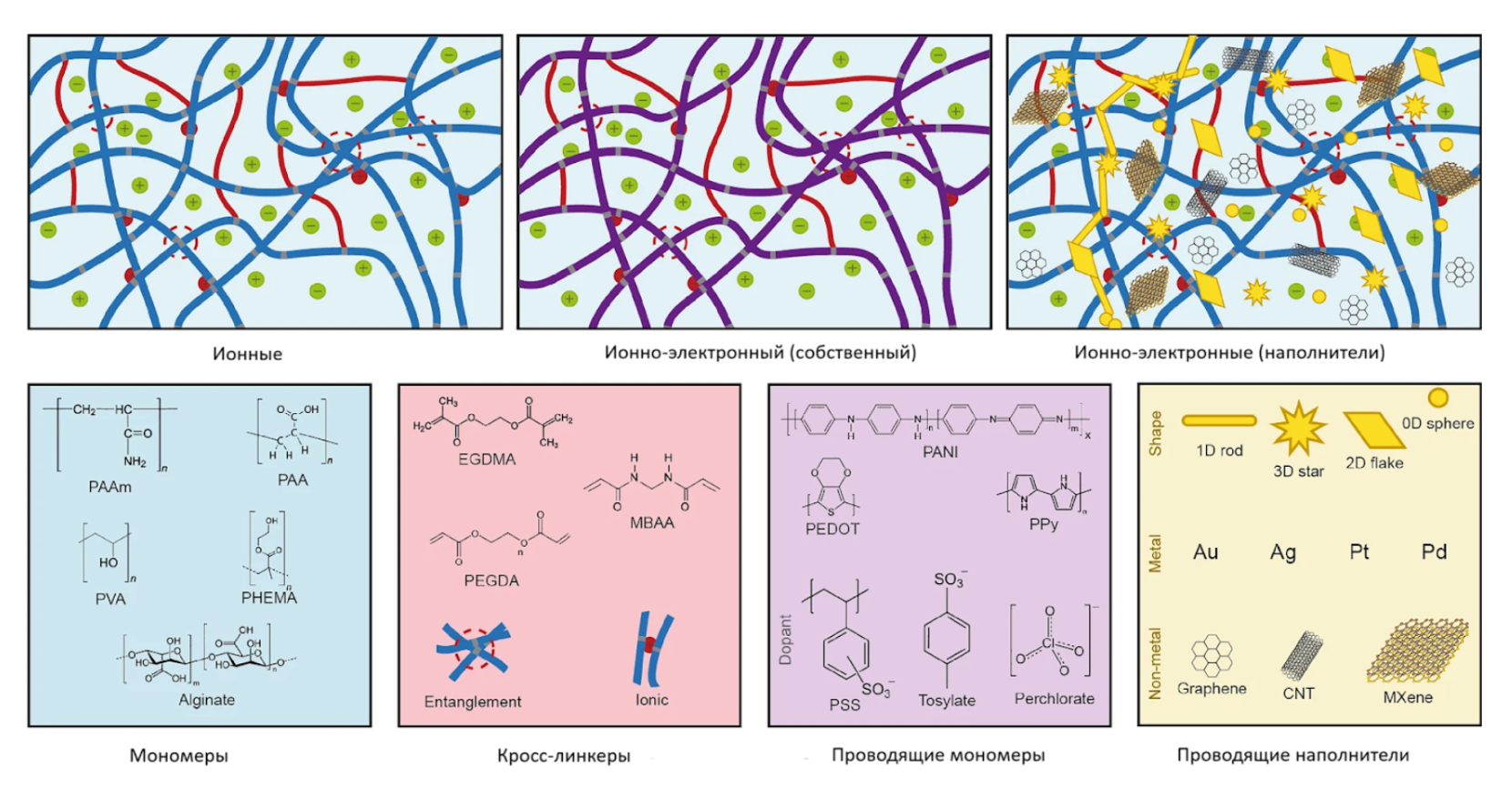 Структуры гидрогеля, придающие ему уникальные свойства