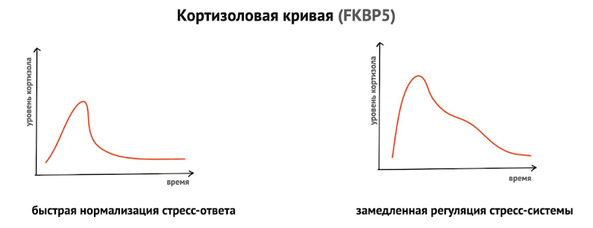 Нарушение отрицательной обратной связи гипоталамо-гипофизарно-надпочечниковой оси при повышенной экспрессии FKBP51 и сниженной чувствительности глюкокортикоидных рецепторов к кортизолу