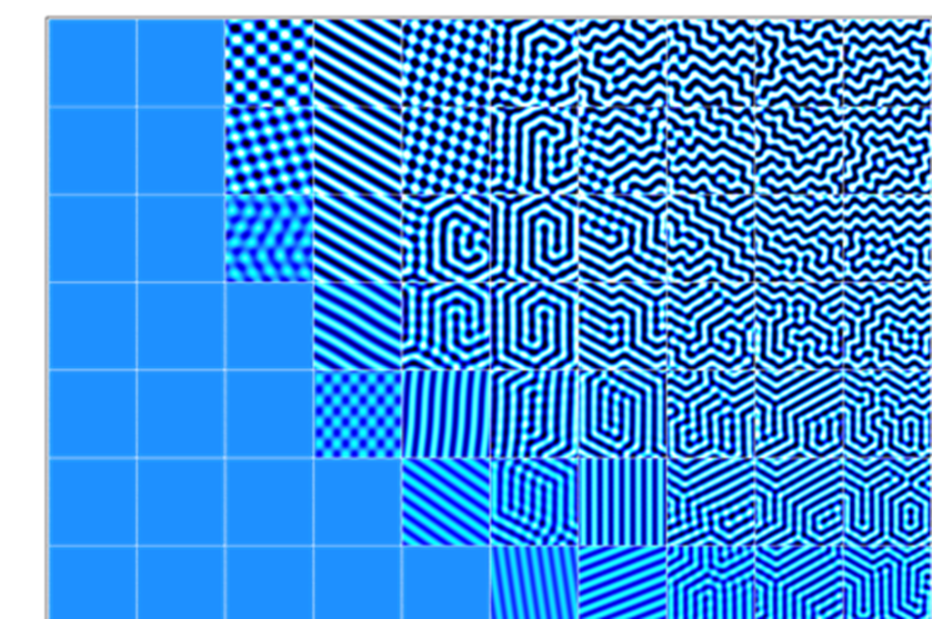 Узоры на раковинах морских моллюсков