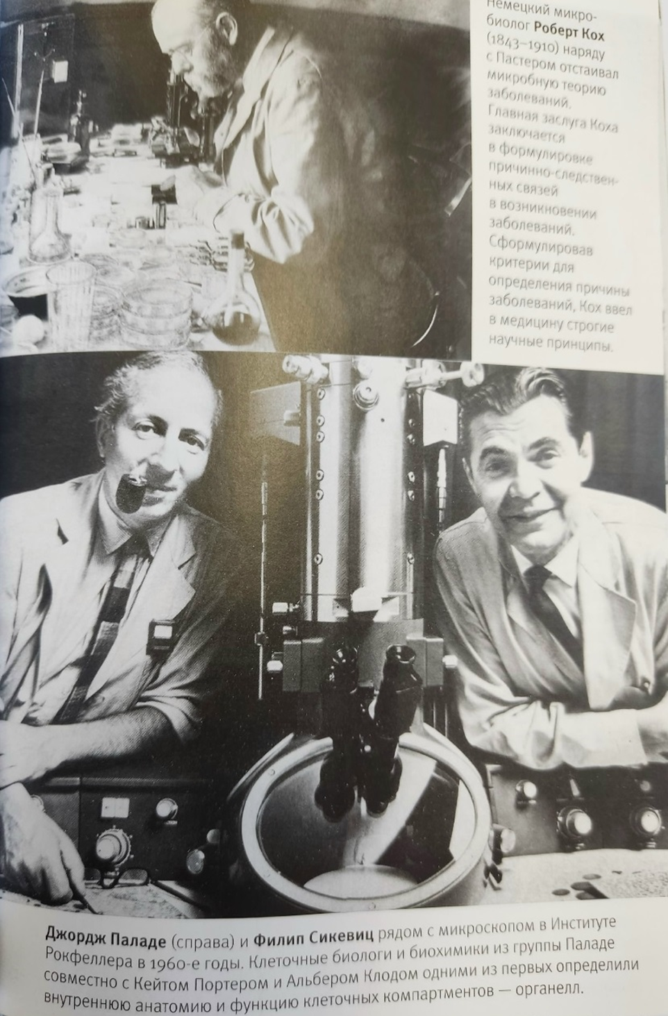 Иллюстрация из книги