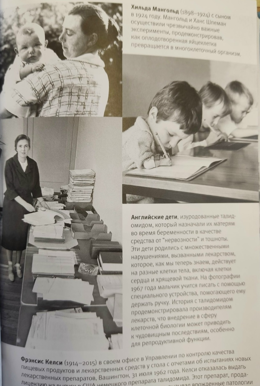 Иллюстрация из книги