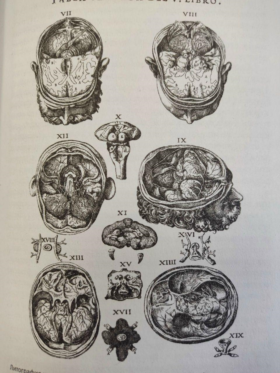 Иллюстрация из книги