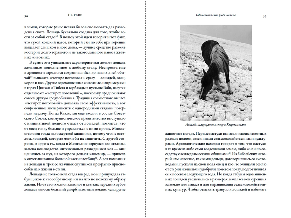 Иллюстрация из книги