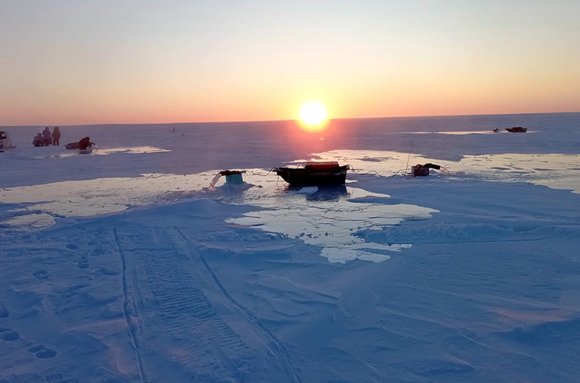 Сравнение размеров животных позднего мелового периода