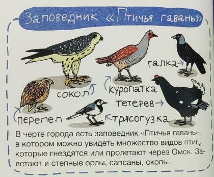 Иллюстрация из книги