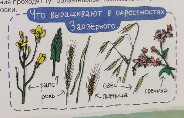 Иллюстрация из книги