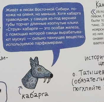Иллюстрация из книги