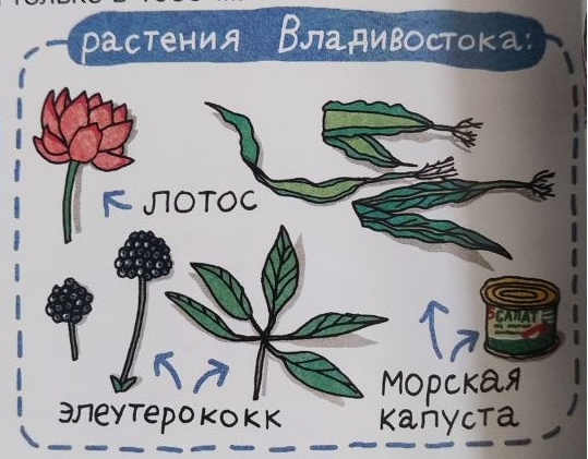 Иллюстрация из книги