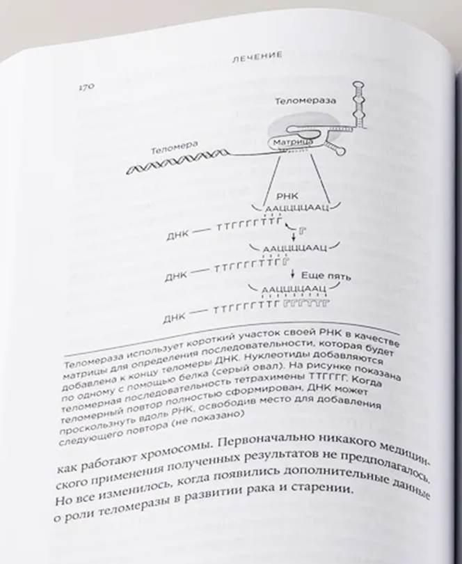 Иллюстрация из книги