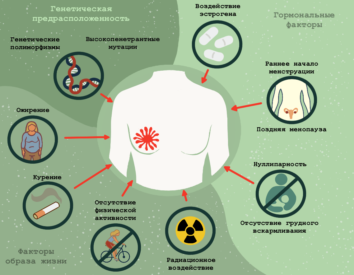Факторы риска рака молочной железы