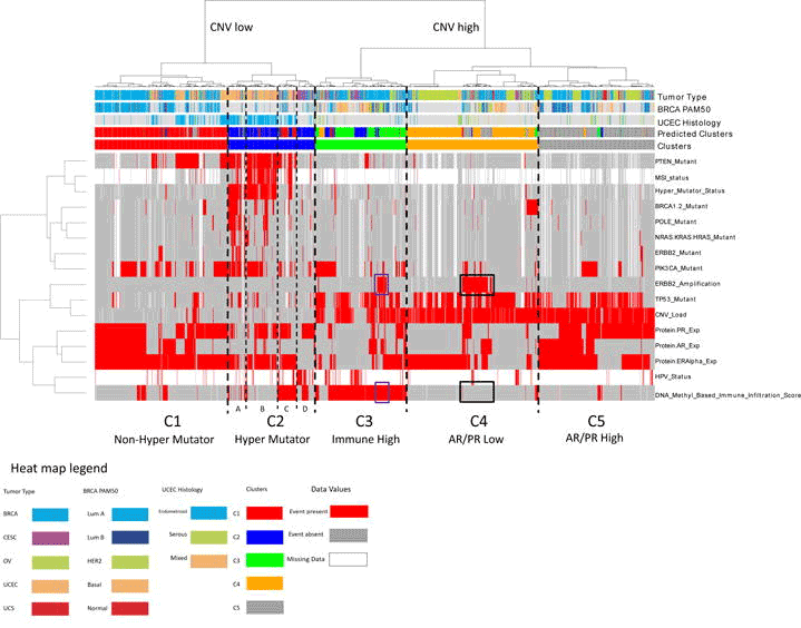 Иллюстрация из книги