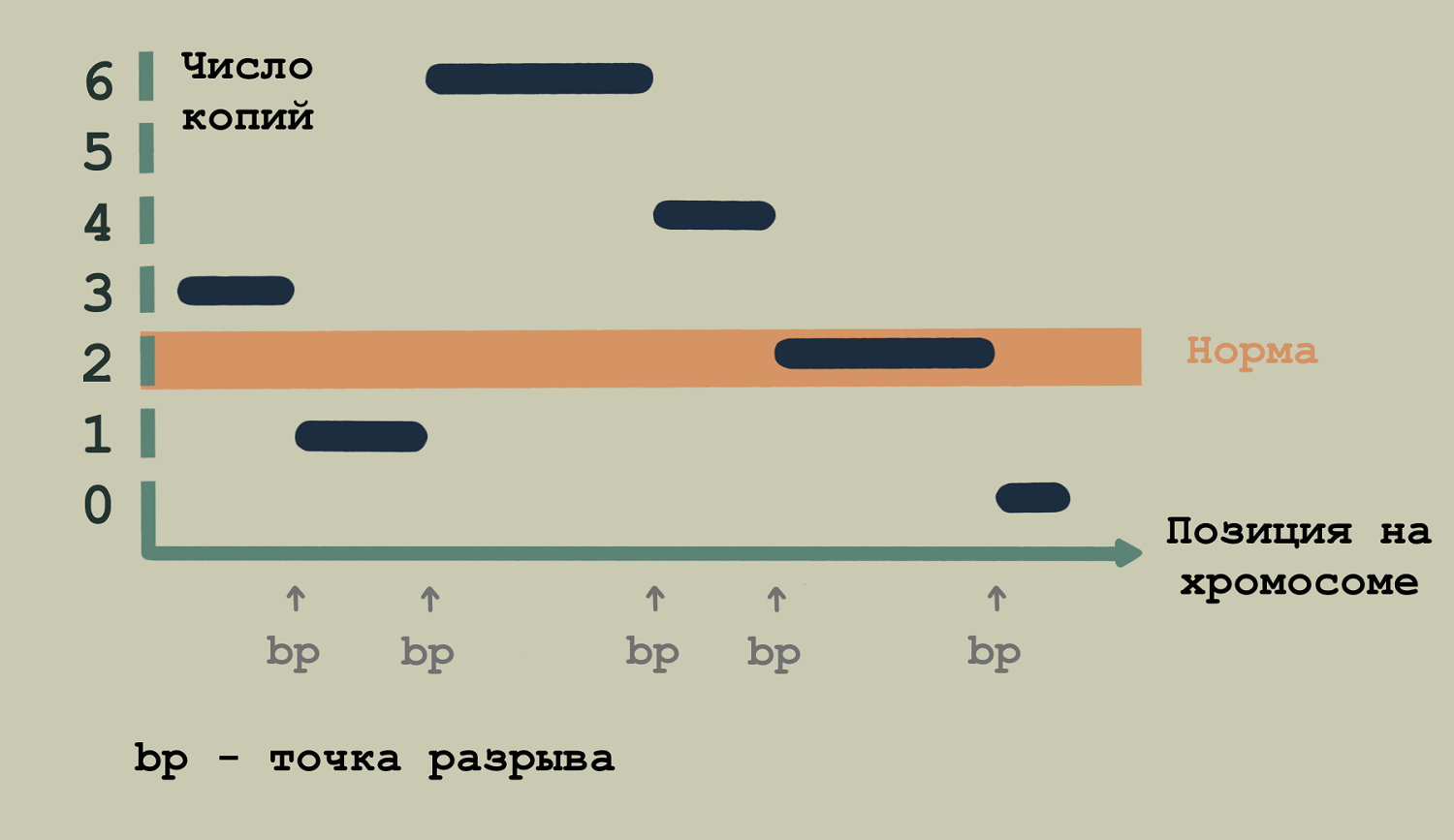 «Точки разрыва»