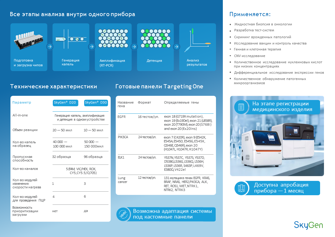 Клеточный цикл и фаза действия некоторых онкогенов и онкосупрессоров