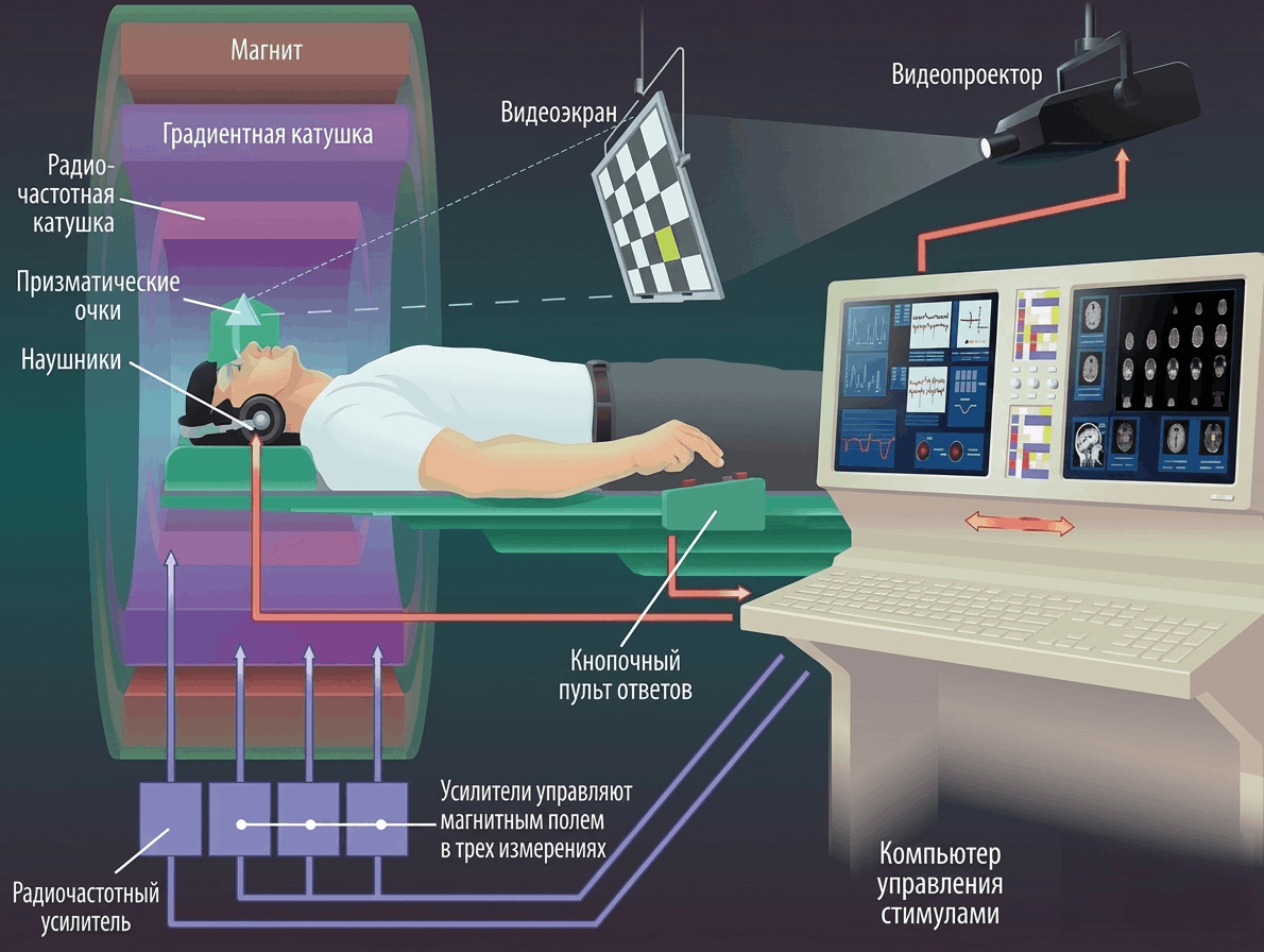 Комплекс оборудования, необходимого для проведения фМРТ-исследования