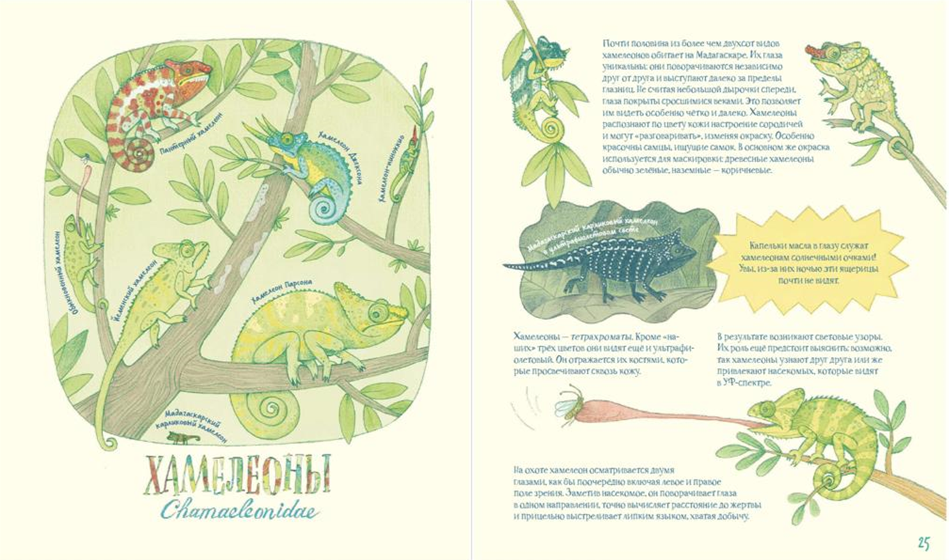 Иллюстрация из книги