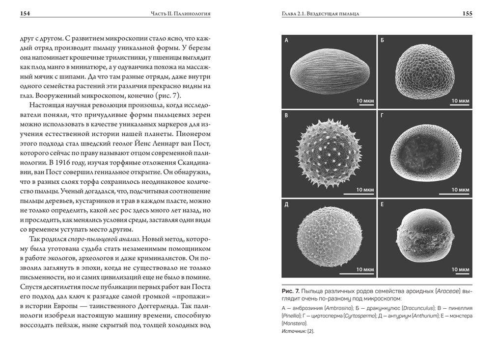 Иллюстрация из книги